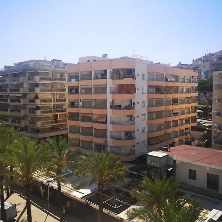 Differentflats Eucalyptus *